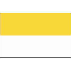 Flaga Kościelna Standard