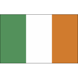 Flagietka - flaga Irlandii