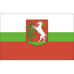 Flagietka - flaga miasta Lublin