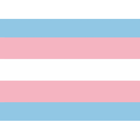 Flaga Trans