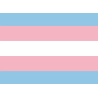 Flaga Trans